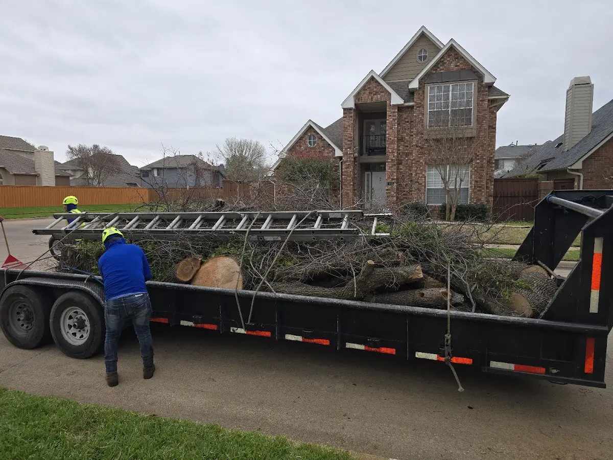Expert Tree Fertilization with proper safety equipment in Vidalia